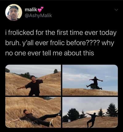 Random Memes