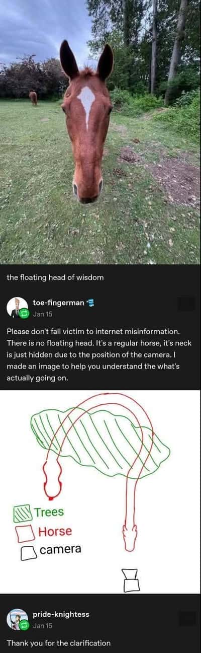Random Memes
