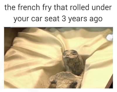 Random Memes