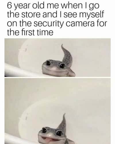Random Memes