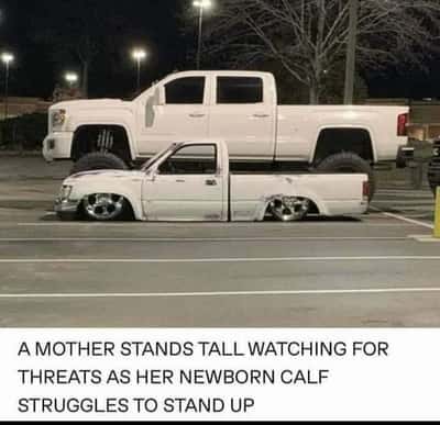 Random Memes