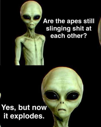 Random Memes