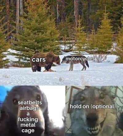 Derpy grinning wolf meme mocking the total lack of motorcycle safety features