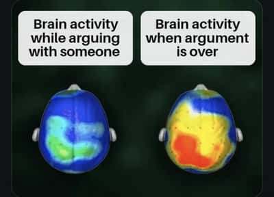 Random Memes