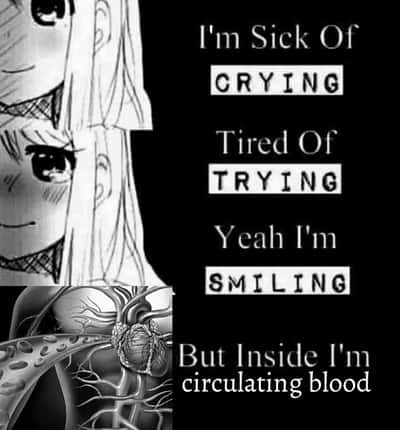 Random Memes