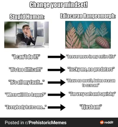 Random Memes