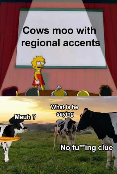 Random Memes