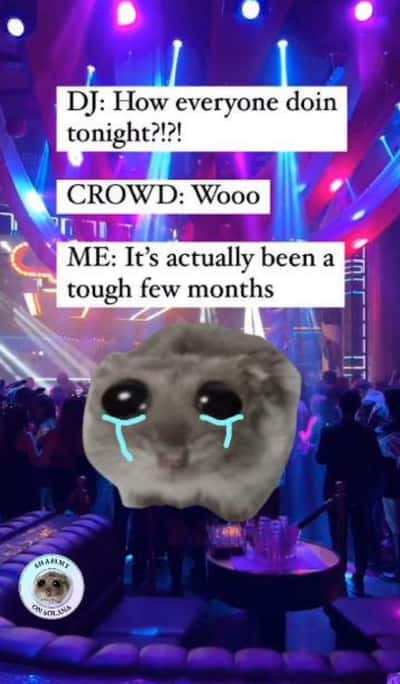 Random Memes