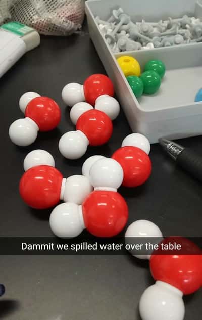 Random Memes