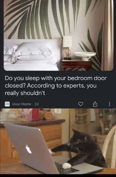 Random Memes
