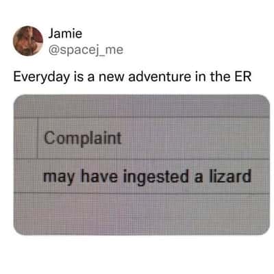 Random Memes