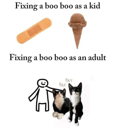 Random Memes