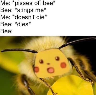 Random Memes