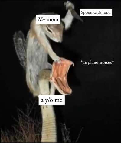 Random Memes