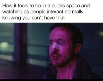 Random Memes