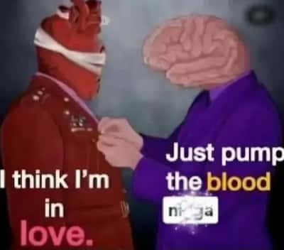 Random Memes