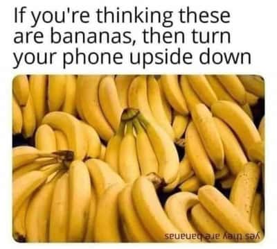 Random Memes
