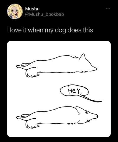Random Memes