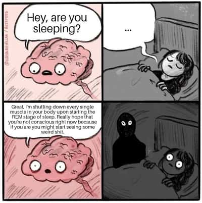 Random Memes