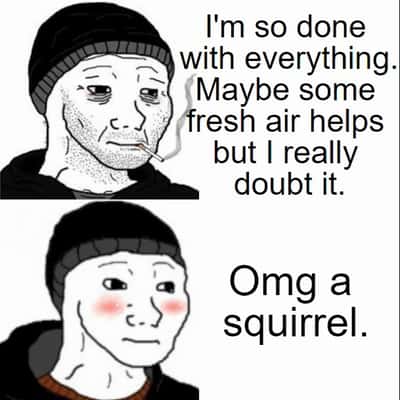 Random Memes