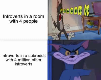 Random Memes