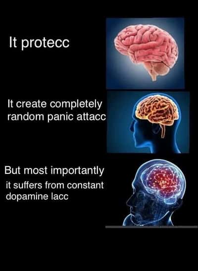 Random Memes