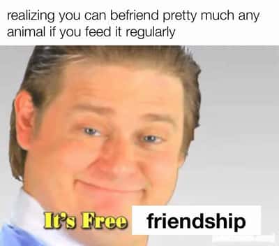 Random Memes