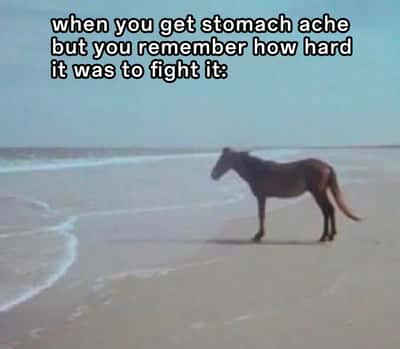 Horse meme stands motionless on beach fighting to hold in stomach ache