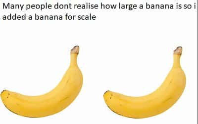 Random Memes