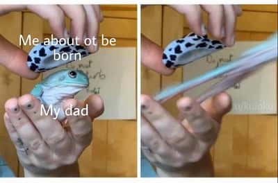 Random Memes