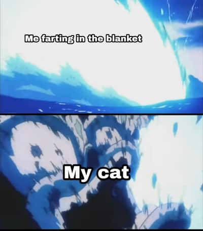 Random Memes