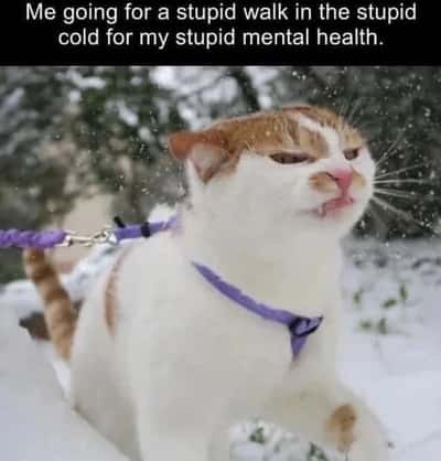 Random Memes