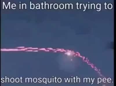 Random Memes