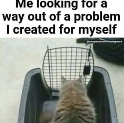Random Memes