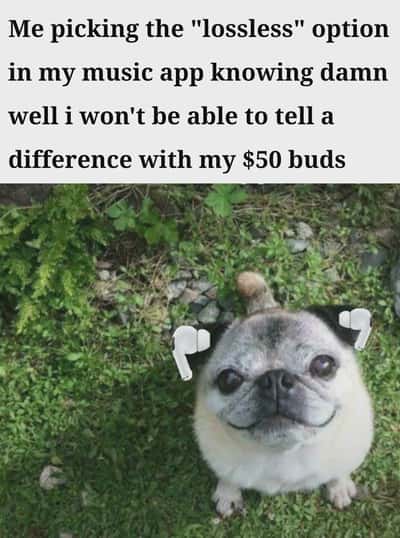 Random Memes