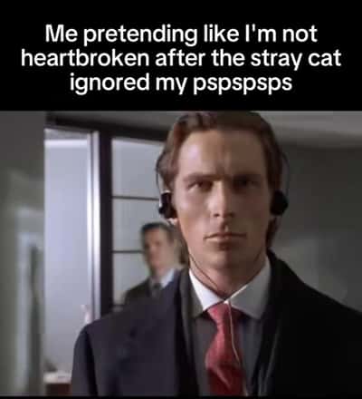 Random Memes