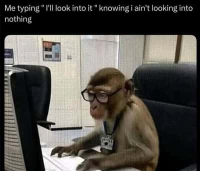 Random Memes