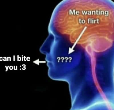 Random Memes