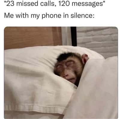 Random Memes