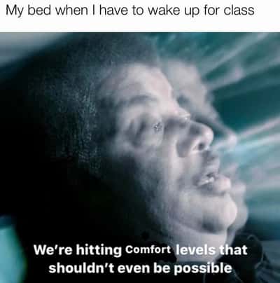 Random Memes