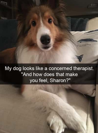 Random Memes