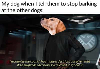 Random Memes