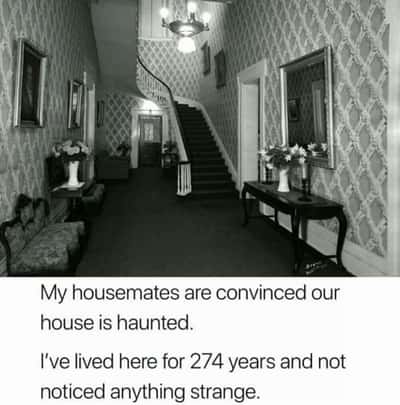Random Memes