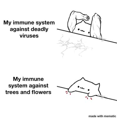 Random Memes