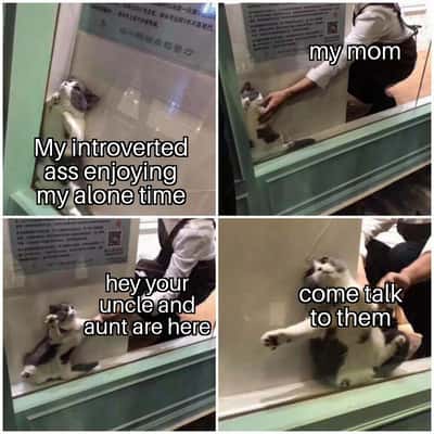 Random Memes