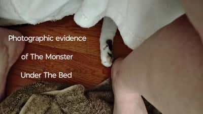 Random Memes