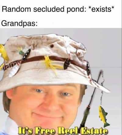 Random Memes