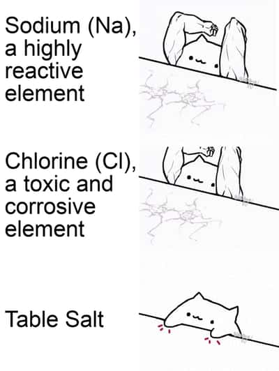 Random Memes