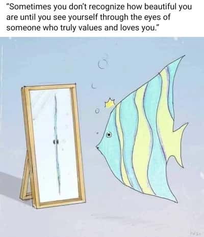 Random Memes