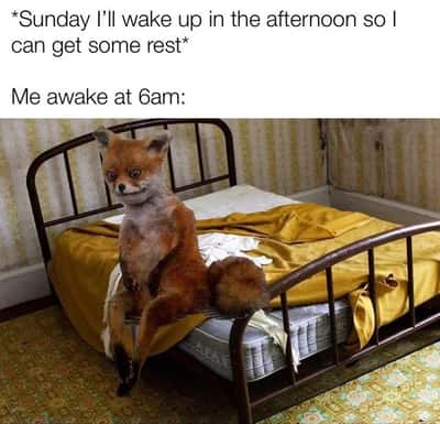 Random Memes